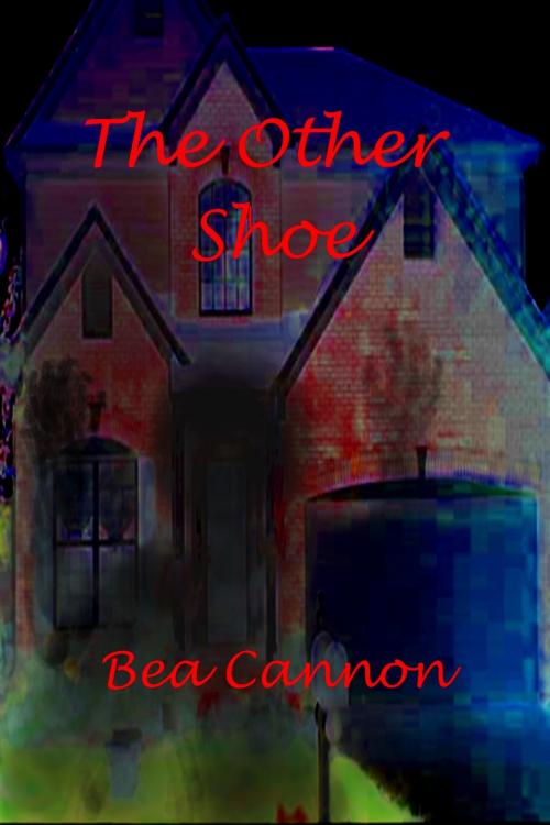 Cover of the book The Other Shoe by Bea Cannon, Bea Cannon