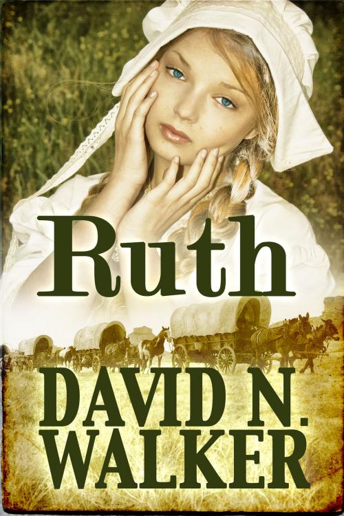 Cover of the book Ruth by David N. Walker, David N. Walker