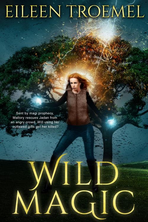 Cover of the book Wild Magic by Eileen Troemel, Eileen Troemel