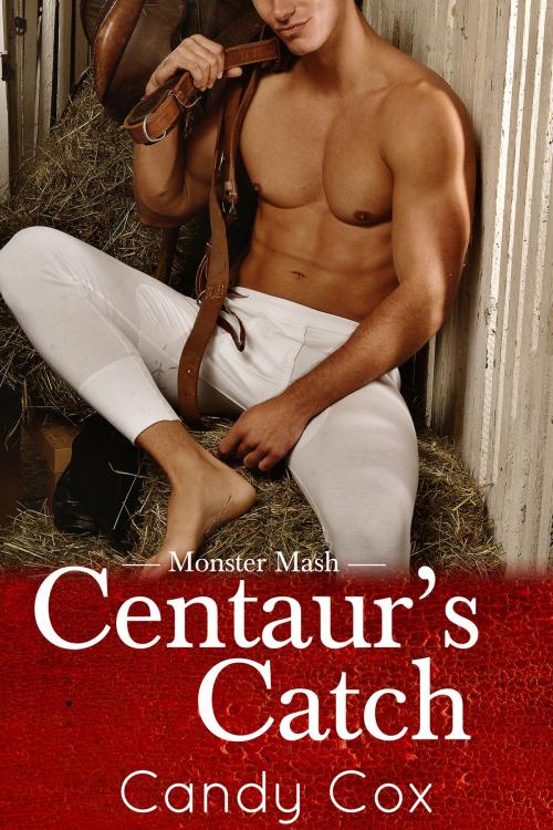 Cover of the book Gay Erotica: Centaur's Catch (Monster Sex) by Candy Cox, Lupa Garneau