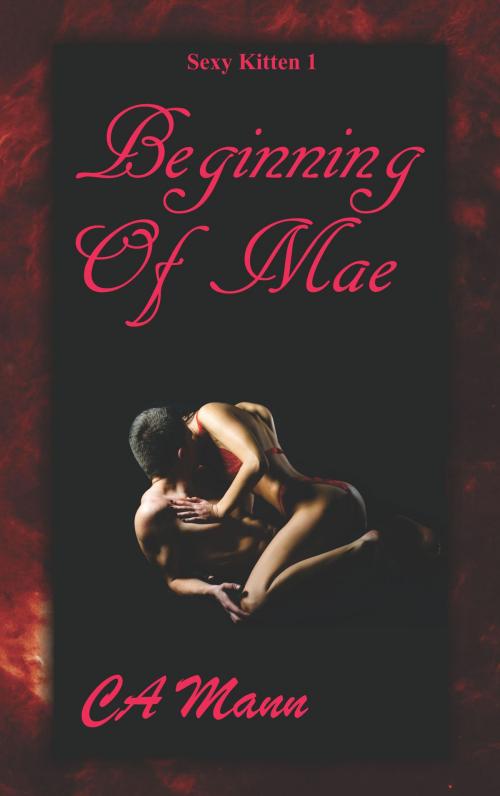 Cover of the book Beginning Of Mae by CA Mann, CA Mann