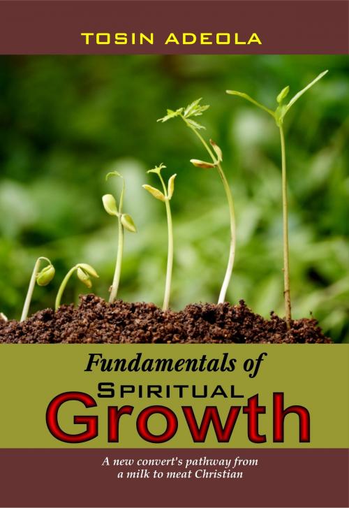 Cover of the book Fundamentals of Spiritual Growth by Tosin Adeola, Tosin Adeola