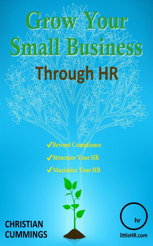 Cover of the book Grow Your Small Business Through HR by Christian Cummings, Christian Cummings