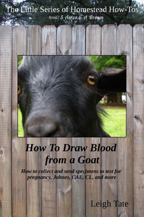 Cover of the book How To Draw Blood from a Goat: How To Collect and Send Specimens to Test for Pregnancy, Johnes, CAE, CL, and More by Leigh Tate, Leigh Tate