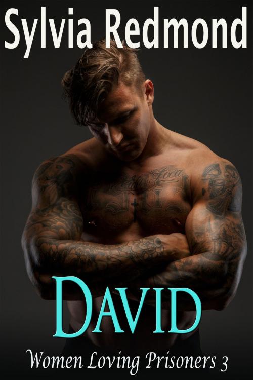 Cover of the book David by Sylvia Redmond, Night Watch Publishing