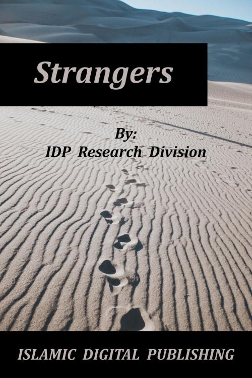 Cover of the book Strangers by IDP Research Division, IDP Research Division