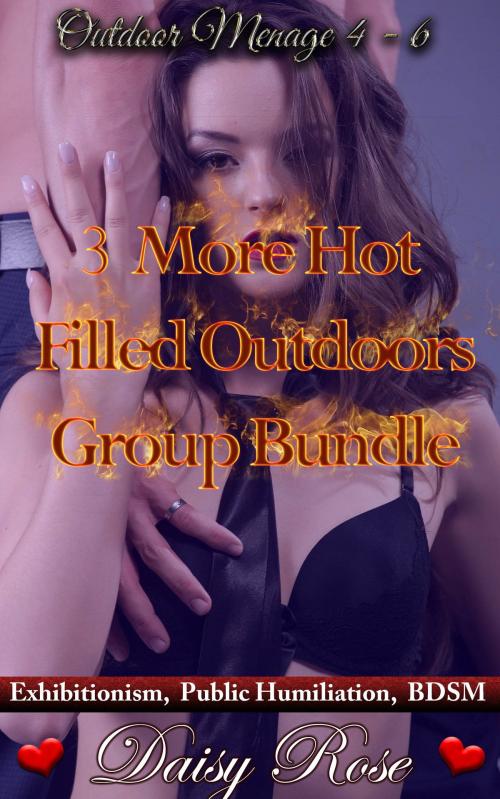 Cover of the book 3 More Hot Filled Outdoors Group Bundle by Daisy Rose, Fanciful Erotica