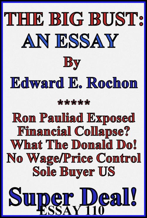 Cover of the book The Big Bust: An Essay by Edward E. Rochon, Edward E. Rochon
