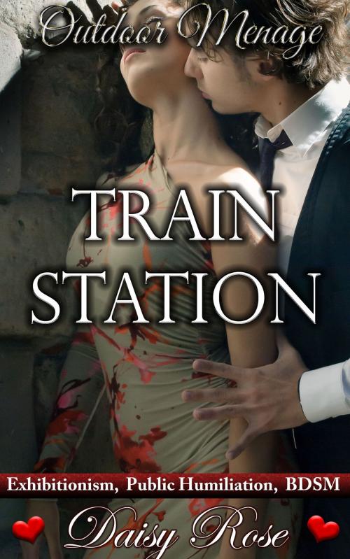 Cover of the book Outdoor Menage 5: Train Station by Daisy Rose, Fanciful Erotica