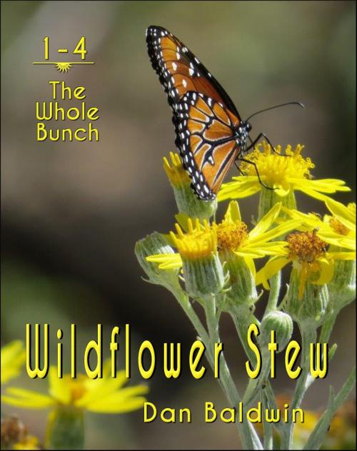 Cover of the book Wildflower Stew: The Whole Bunch by Dan Baldwin, Dan Baldwin