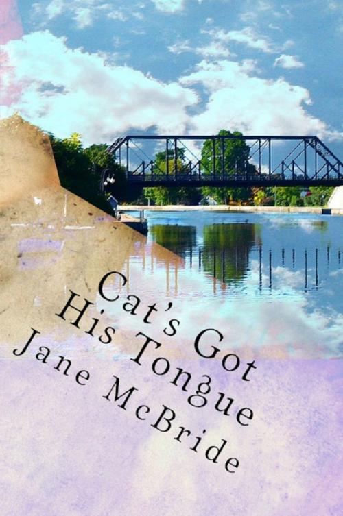 Cover of the book Cat's Got His Tongue by Jane McBride, Jane McBride