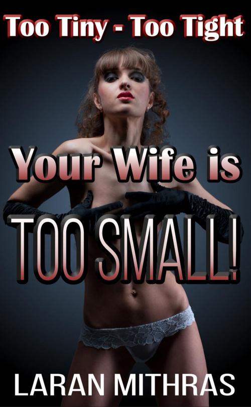 Cover of the book Your Wife is Too Small! by Laran Mithras, Laran Mithras