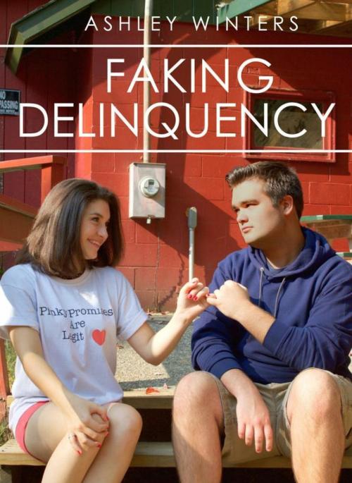 Cover of the book Faking Delinquency by Ashley Winters, Blvnp Incorporated