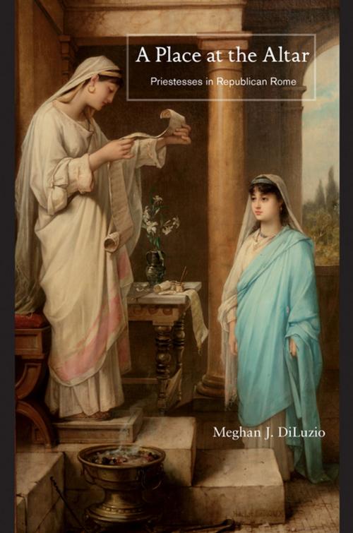 Cover of the book A Place at the Altar by Meghan J. DiLuzio, Princeton University Press