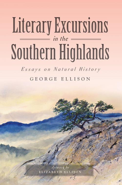 Cover of the book Literary Excursions in the Southern Highlands by George Ellison, Elizabeth Ellison, Arcadia Publishing Inc.