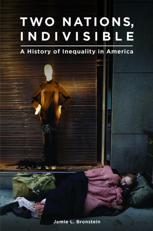 Cover of the book Two Nations, Indivisible: A History of Inequality in America by Jamie L. Bronstein, ABC-CLIO