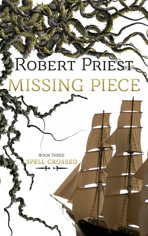 Cover of the book Missing Piece by Robert Priest, Dundurn