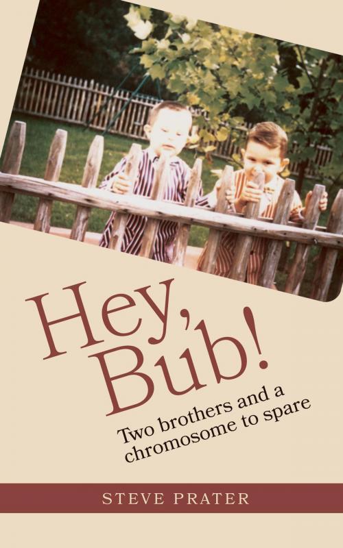 Cover of the book Hey, Bub! by Steve Prater, FriesenPress