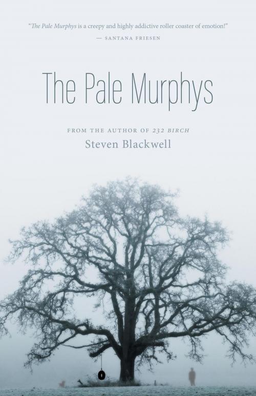 Cover of the book The Pale Murphys by Steven Blackwell, FriesenPress