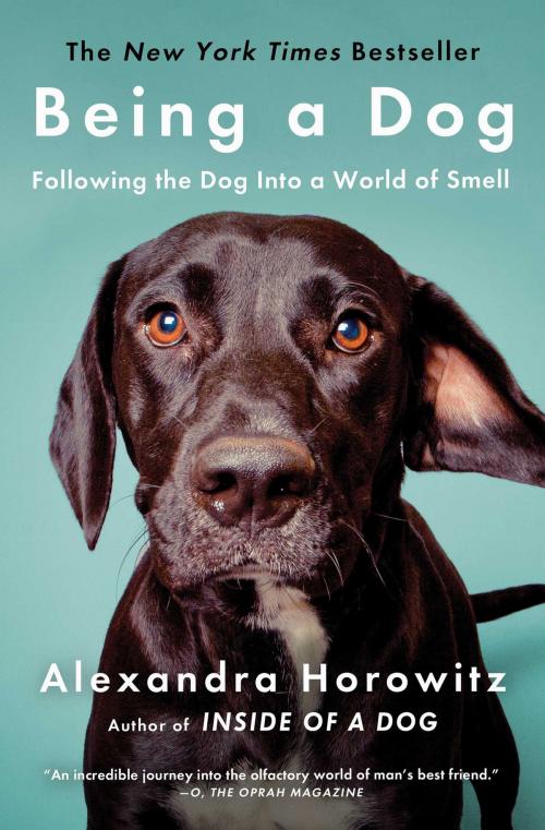 Cover of the book Being a Dog by Alexandra Horowitz, Scribner