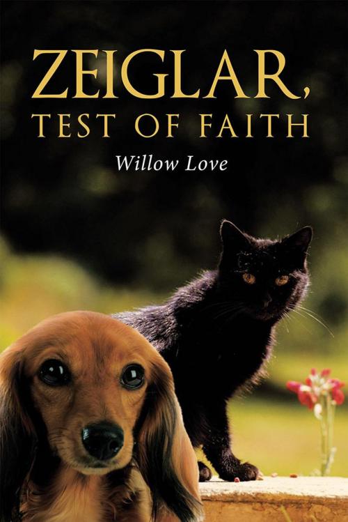 Cover of the book Zeiglar, Test of Faith by Willow Love, Archway Publishing