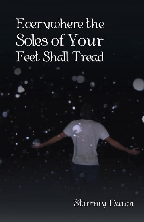 Cover of the book Everywhere the Soles of Your Feet Shall Tread by Stormy Dawn, Archway Publishing