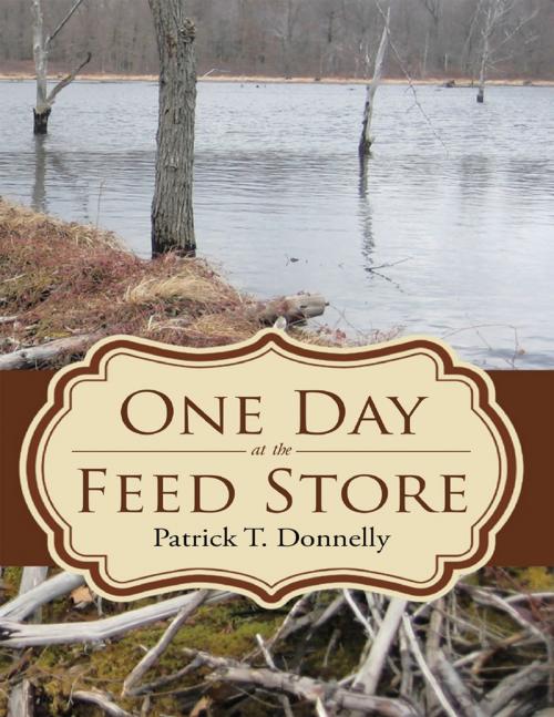 Cover of the book One Day at the Feed Store by Patrick T. Donnelly, Lulu Publishing Services