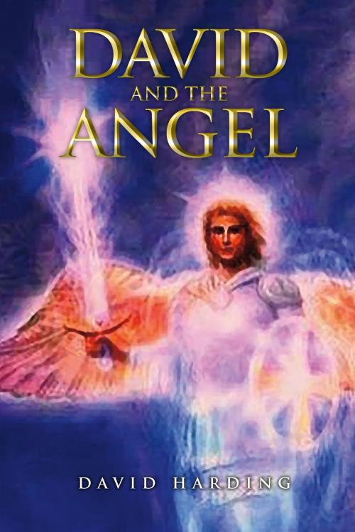 Cover of the book David and the Angel by David Harding, BookBaby