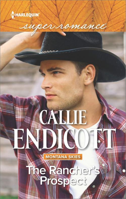 Cover of the book The Rancher's Prospect by Callie Endicott, Harlequin