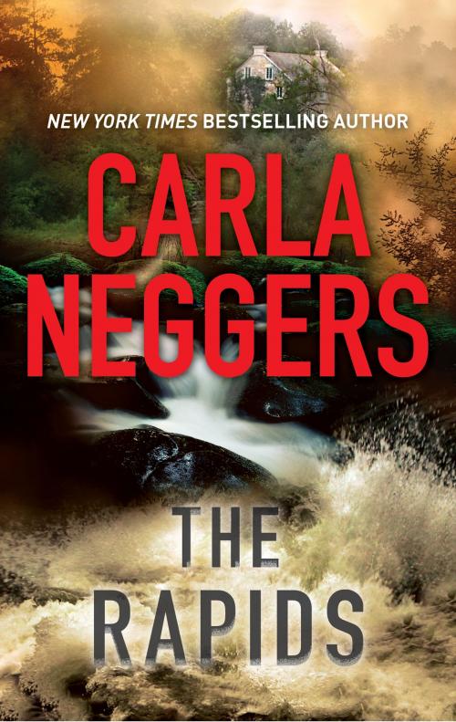 Cover of the book The Rapids by Carla Neggers, MIRA Books
