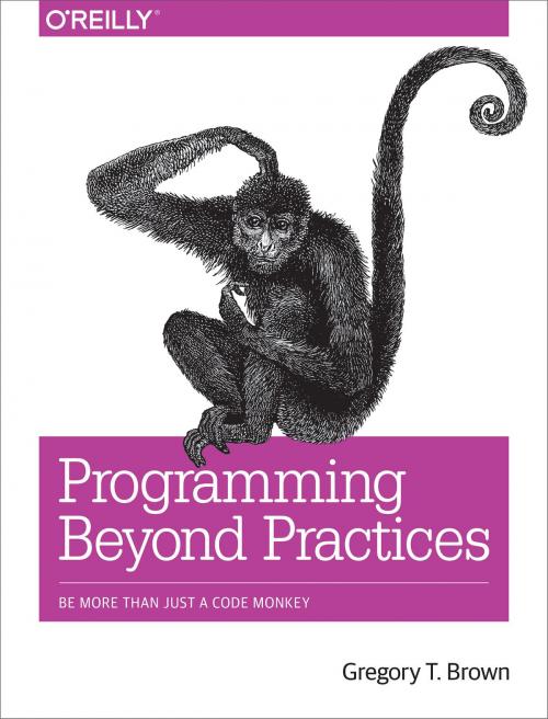 Cover of the book Programming Beyond Practices by Gregory T Brown, O'Reilly Media