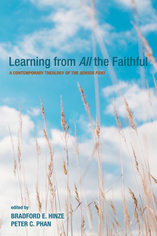 Cover of the book Learning from All the Faithful by , Wipf and Stock Publishers