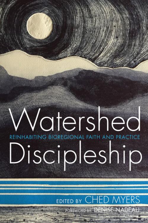 Cover of the book Watershed Discipleship by , Wipf and Stock Publishers