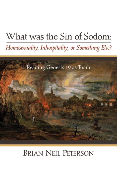 Cover of the book What was the Sin of Sodom: Homosexuality, Inhospitality, or Something Else? by Brian Neil Peterson, Wipf and Stock Publishers