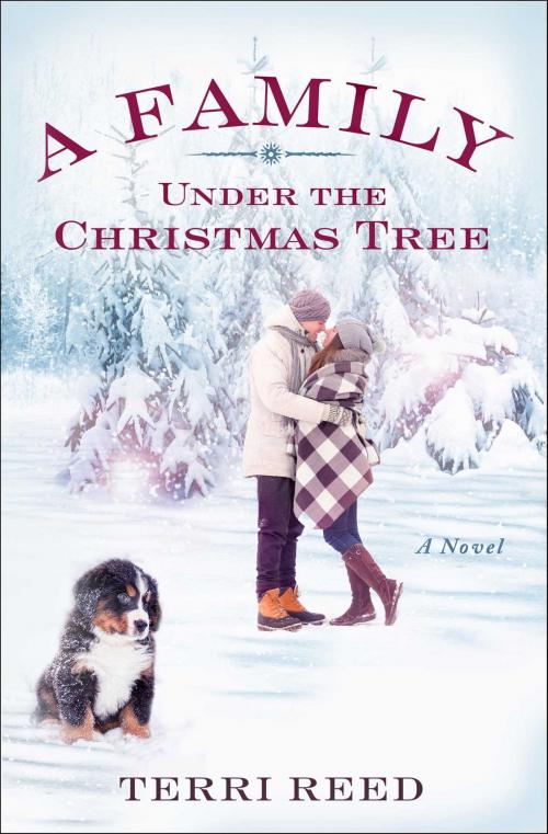 Cover of the book A Family Under the Christmas Tree by Terri Reed, Howard Books