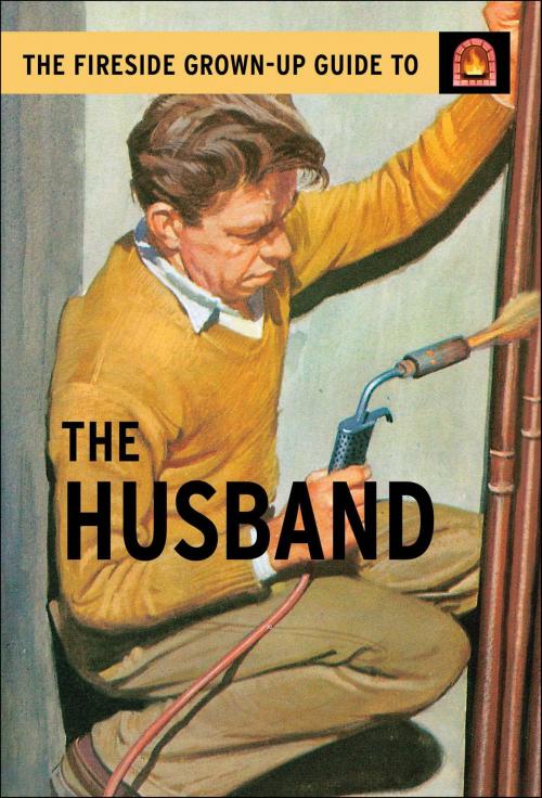 Cover of the book The Fireside Grown-Up Guide to the Husband by Jason Hazeley, Joel Morris, Atria Books