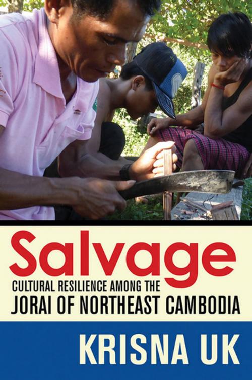 Cover of the book Salvage by Krisna Uk, Cornell University Press
