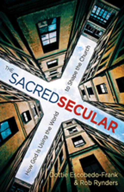Cover of the book The Sacred Secular by Dottie Escobedo-Frank, Rob Rynders, Abingdon Press