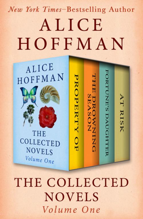 Cover of the book The Collected Novels Volume One by Alice Hoffman, Open Road Media