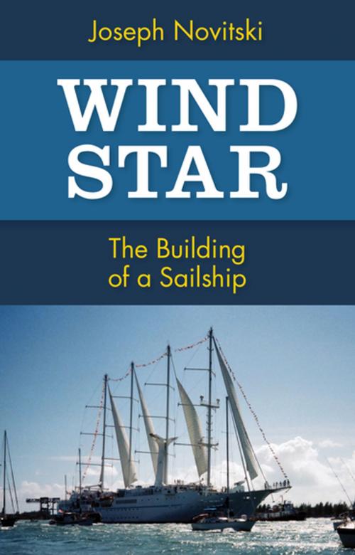 Cover of the book Wind Star by Joseph Novitski, Open Road Distribution