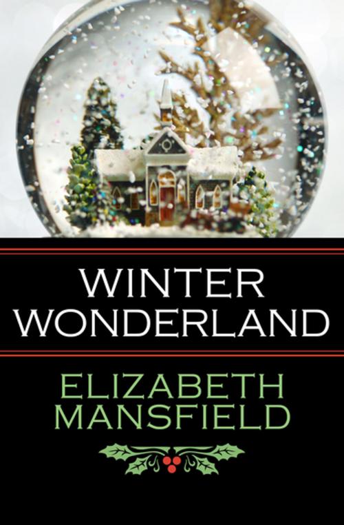 Cover of the book Winter Wonderland by Elizabeth Mansfield, Open Road Media