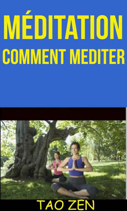 Cover of the book Méditation: Comment Mediter by Tao Zen, Akshat Agrawal, Babelcube Inc.