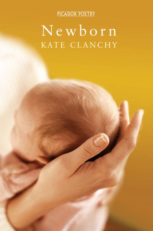 Cover of the book Newborn by Kate Clanchy, Pan Macmillan