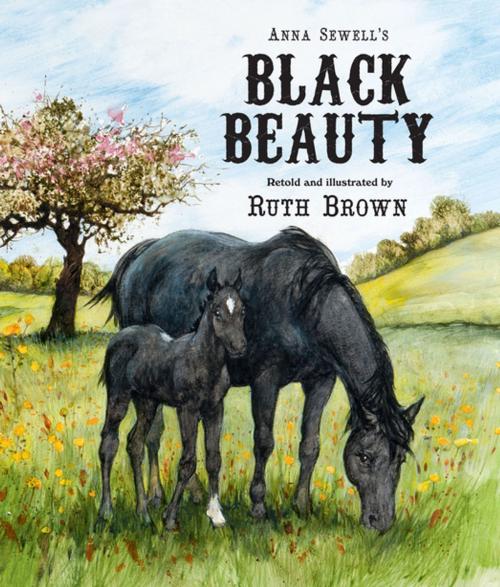 Cover of the book Black Beauty by Anna Sewell, Ruth Brown, Andersen Press USA