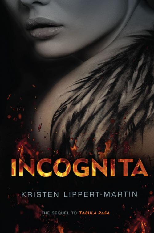 Cover of the book Incognita by Kristen Lippert-Martin, Lerner Publishing Group