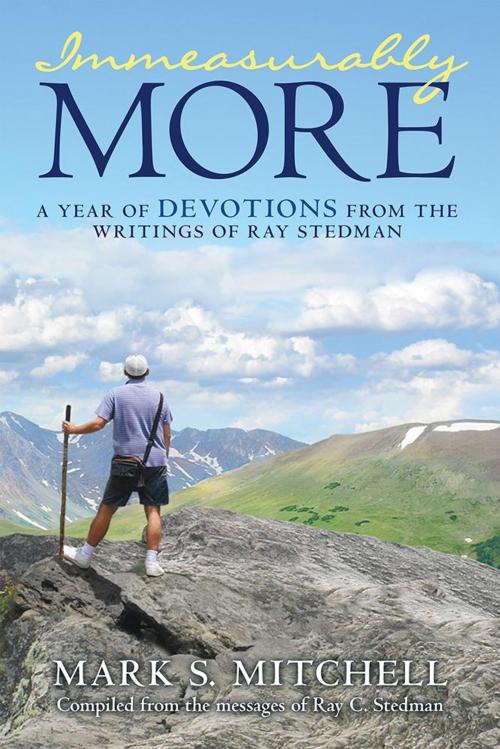 Cover of the book Immeasurably More by Mark S. Mitchell, WestBow Press