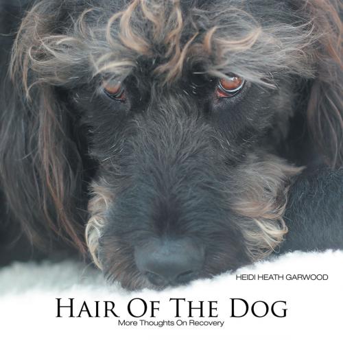 Cover of the book Hair of the Dog by Heidi Heath Garwood, WestBow Press