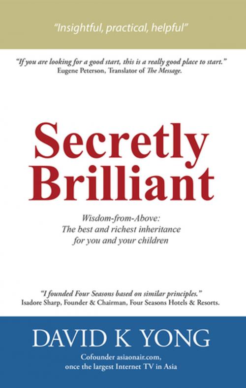 Cover of the book Secretly Brilliant by David K Yong, WestBow Press