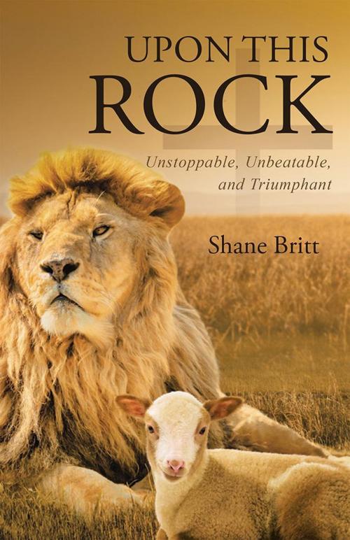 Cover of the book Upon This Rock by Shane Britt, WestBow Press
