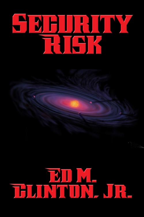Cover of the book Security Risk by Ed M. Clinton, Jr., Wilder Publications, Inc.